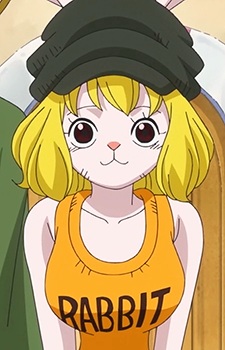 Carrot headshot