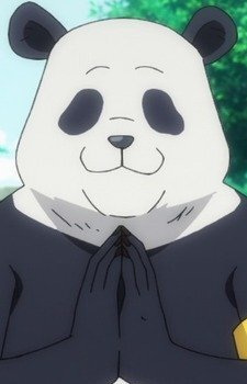 Panda headshot